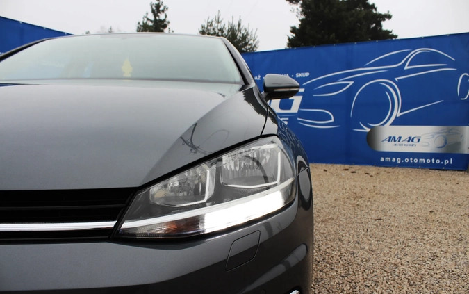 Volkswagen Golf cena 53900 przebieg: 112000, rok produkcji 2019 z Czersk małe 407